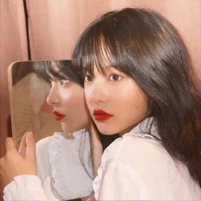 私人手段